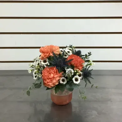 Desert Dream in Vista California, Crozier's Flowers and Plants