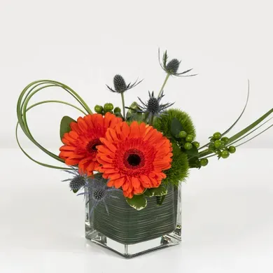 Charming Beauty in Vista California, Crozier's Flowers and Plants