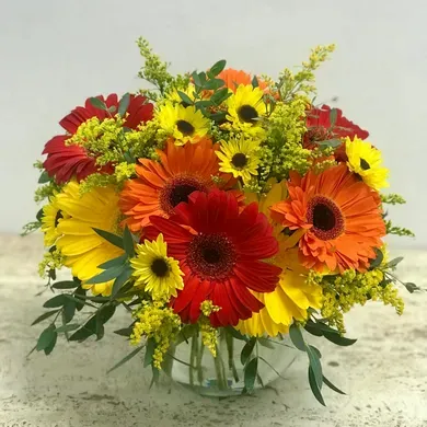 Gorgeous Gerbs in Vista California, Crozier's Flowers and Plants