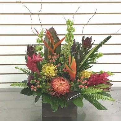 Tropical Paradise in Vista California, Crozier's Flowers and Plants