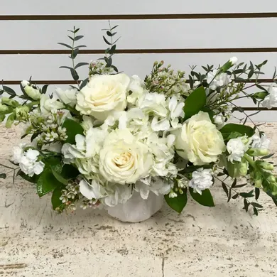 Beautiful Joy in Vista California, Crozier's Flowers and Plants