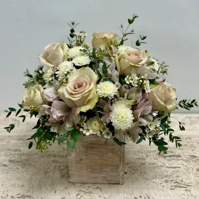 Soft Kisses in Vista California, Crozier's Flowers and Plants