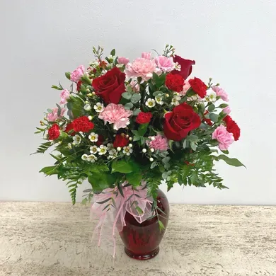 Dancing Queen in Vista California, Crozier's Flowers and Plants