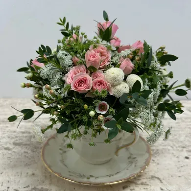 Tea Cup in Vista California, Crozier's Flowers and Plants