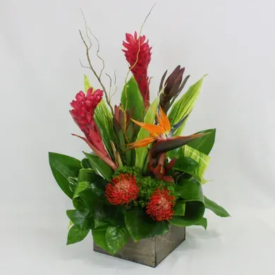 Hawaiian Keiki in Vista California, Crozier's Flowers and Plants